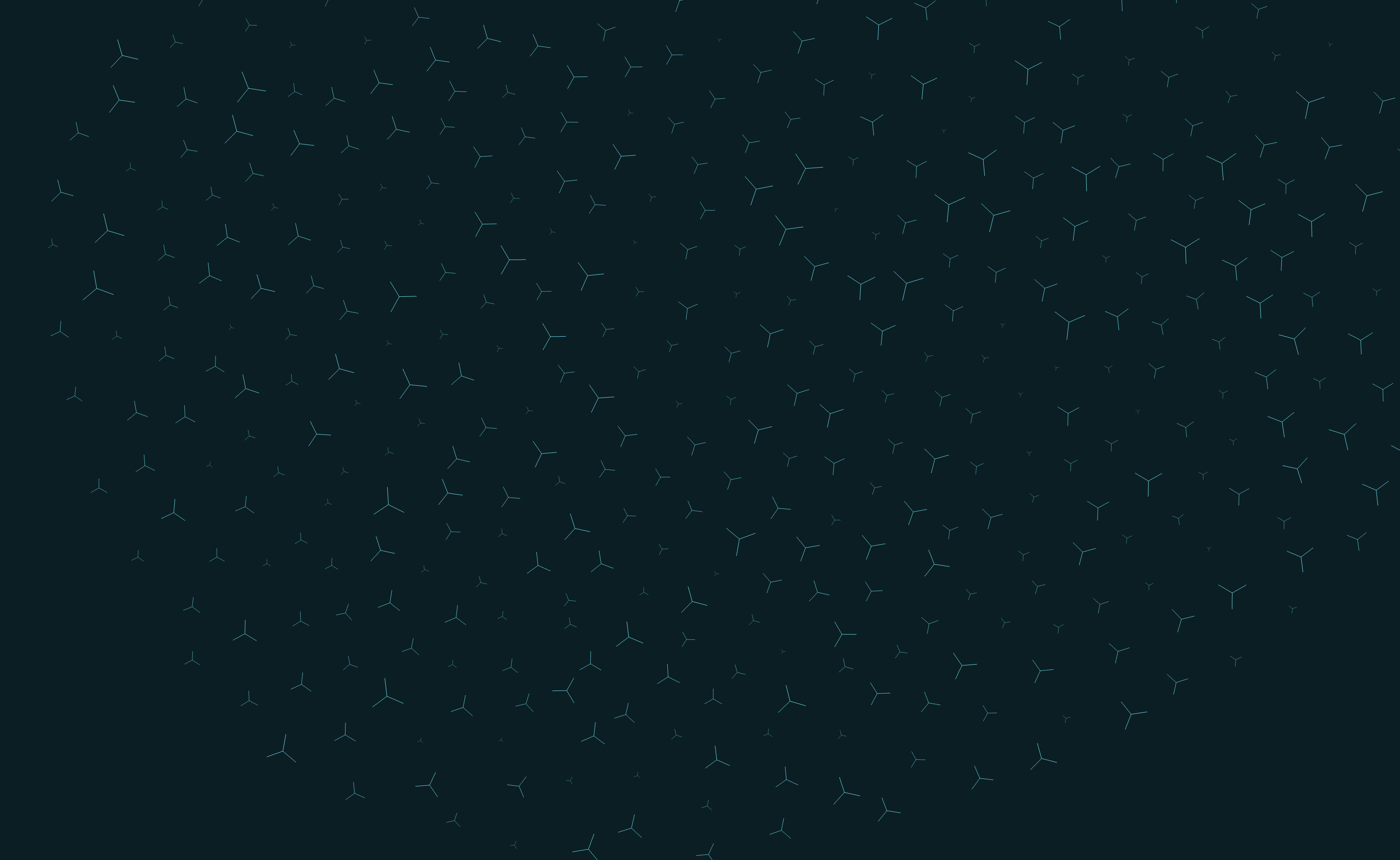 Murmuration — animated vector art template preview
